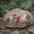 Polished Michigan Pudding Stone - Red Jasper, Chert & Quartz (014)