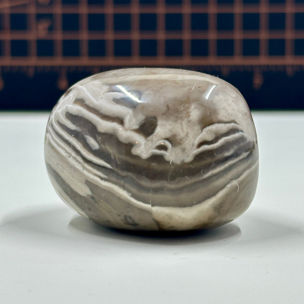 Polished Banded Chert Stone - Mocha and White