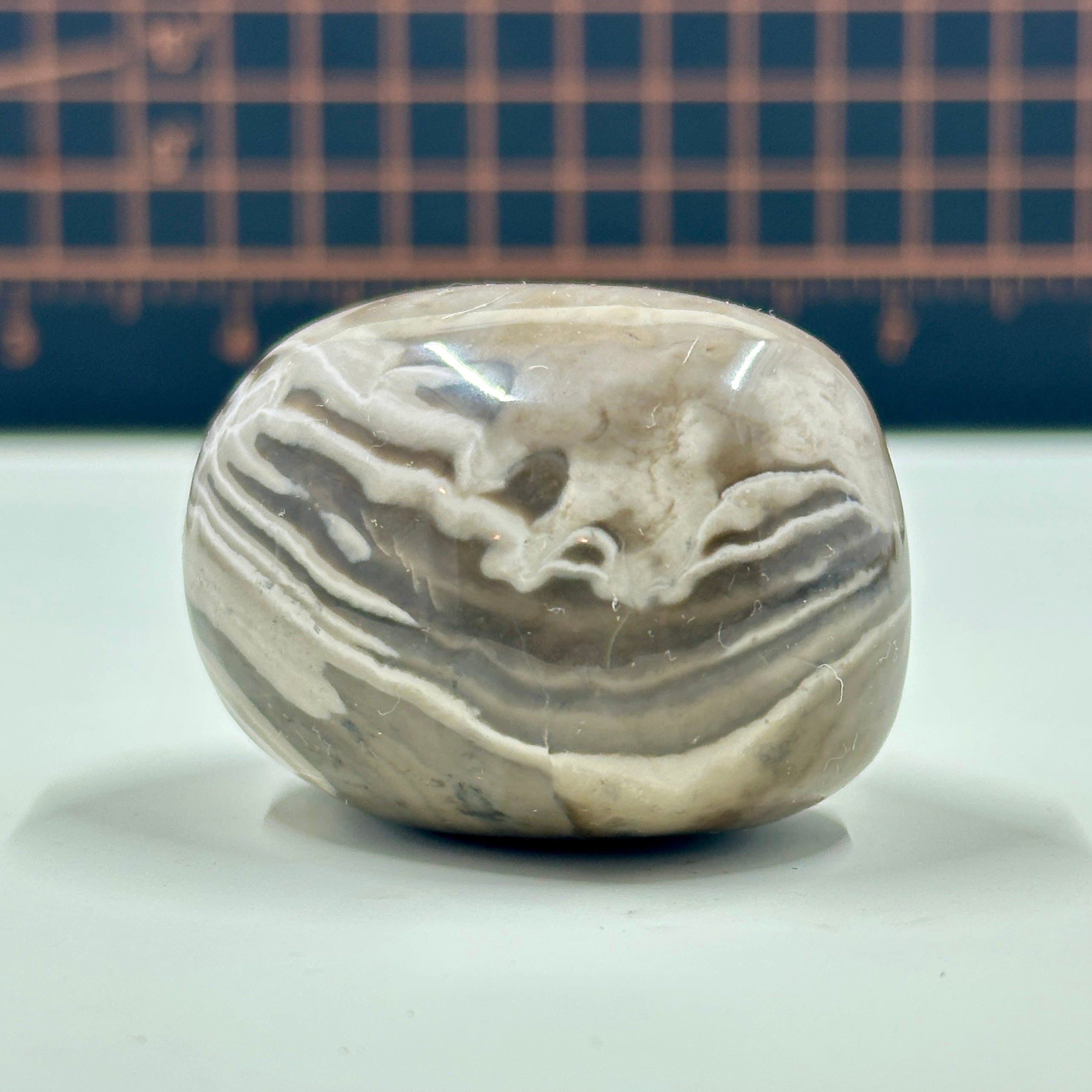 Polished Banded Chert Stone - Mocha and White