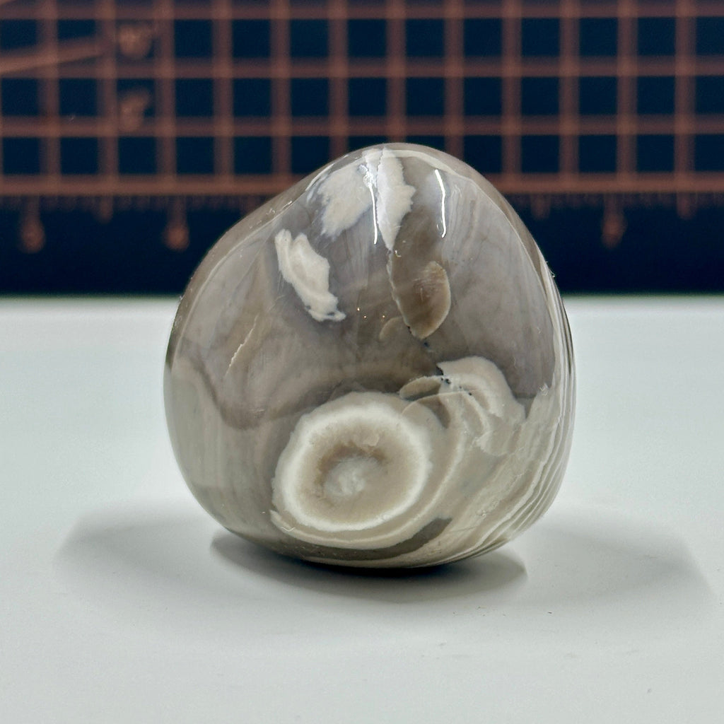 Polished Banded Chert Stone - Mocha and White