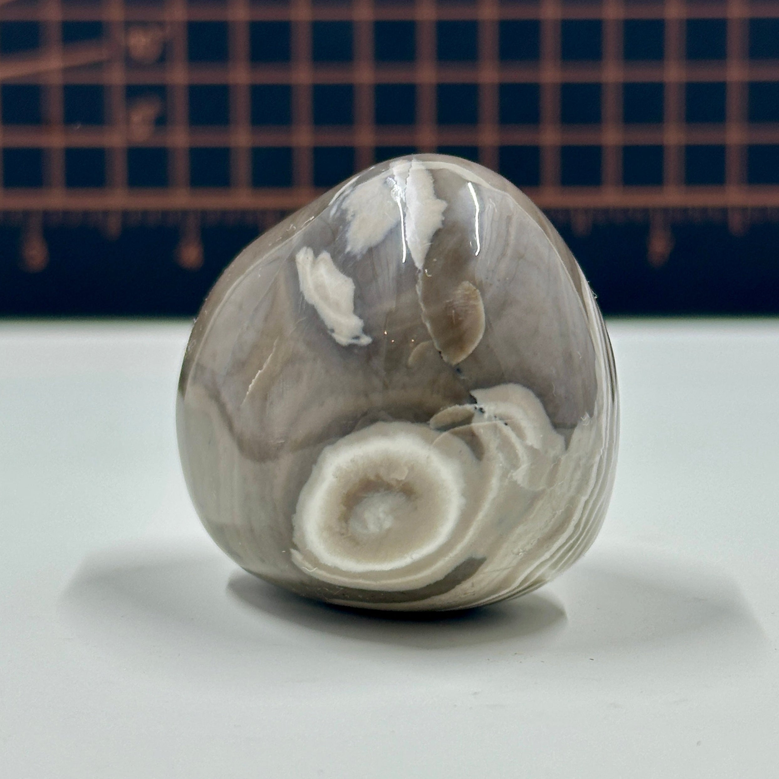 Polished Banded Chert Stone - Mocha and White