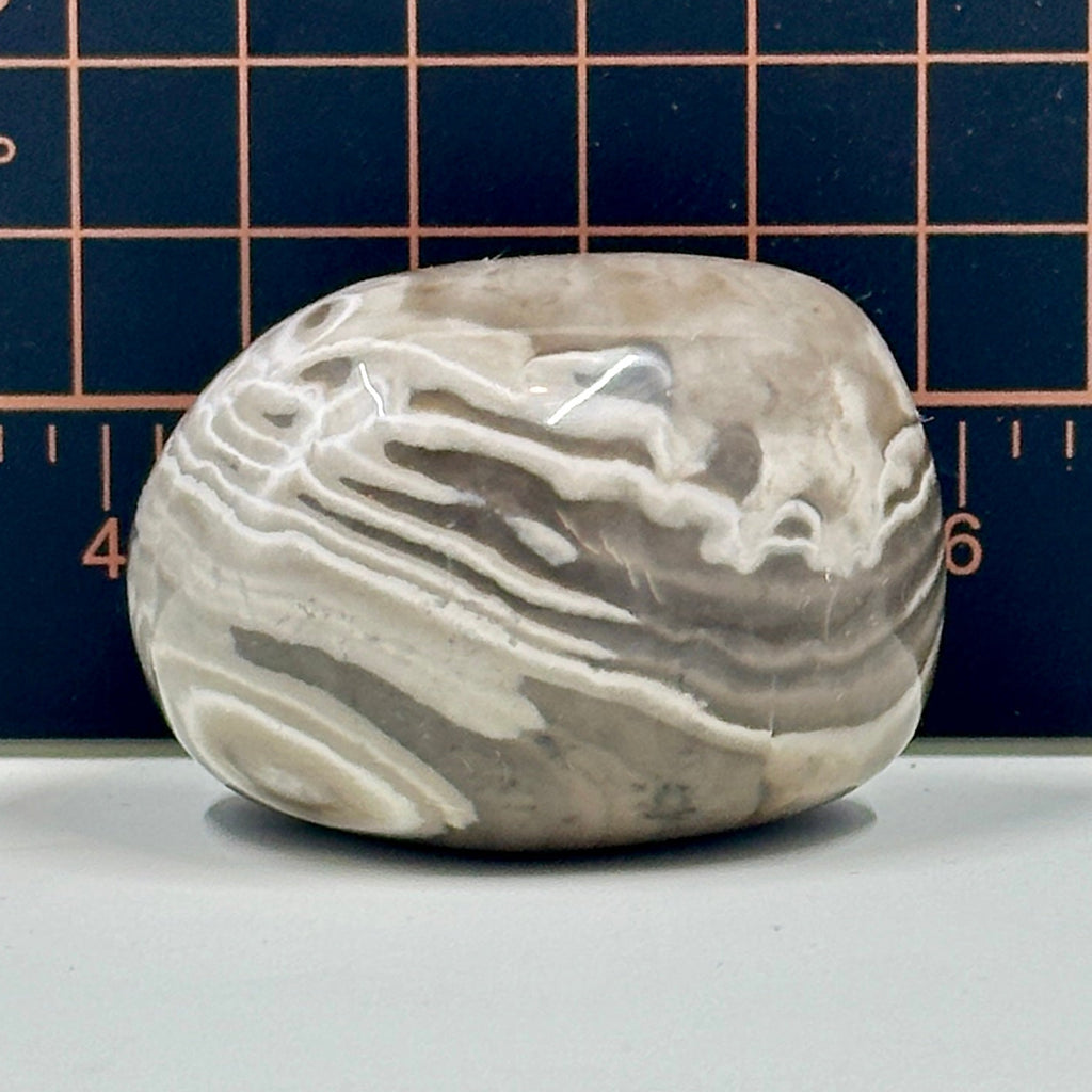 Polished Banded Chert Stone - Mocha and White