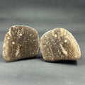 Crinoid & Cladopora Fossil “Soup” Stone Pair – Michigan Fossil Specimens